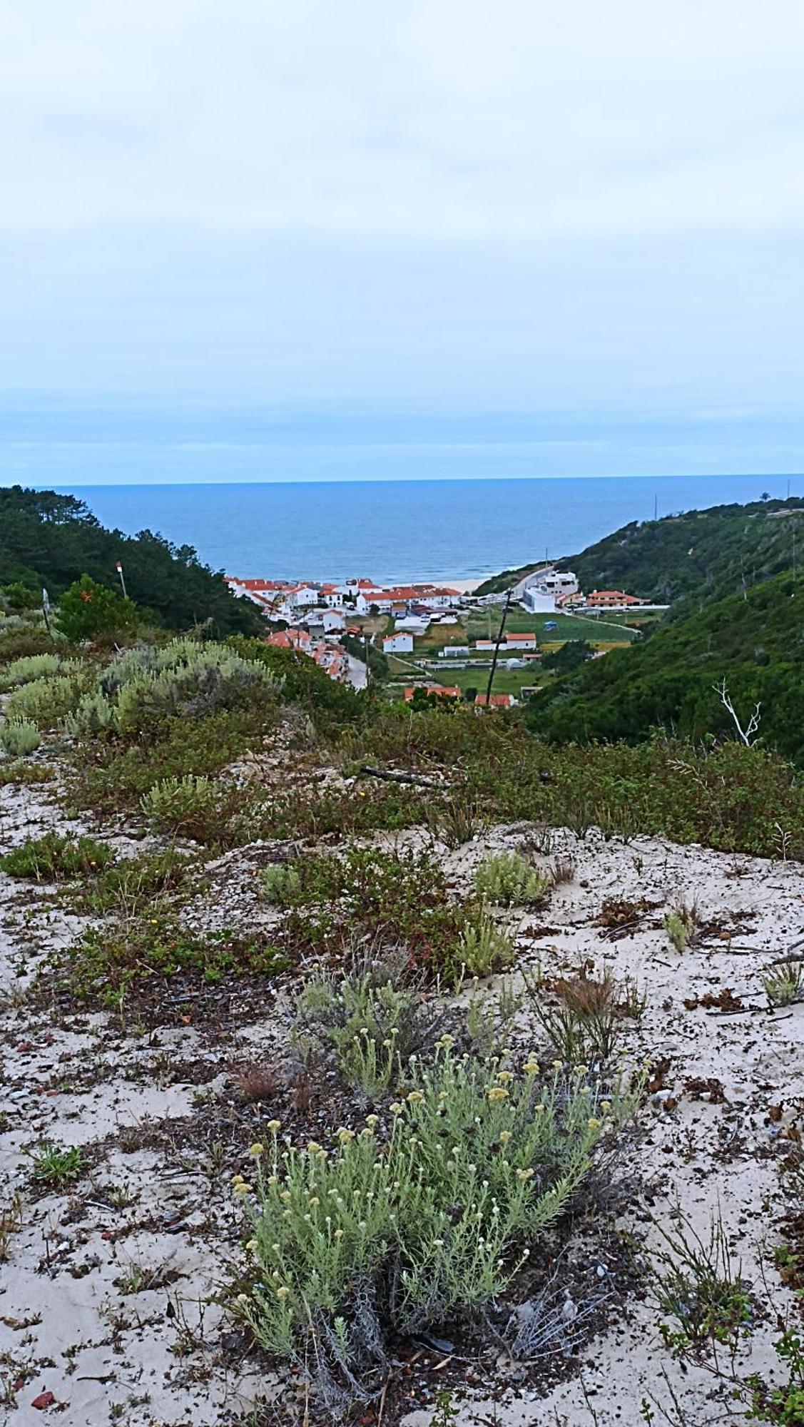 Tinyhouse Tilda - Near Famous Beaches Pataias Luaran gambar