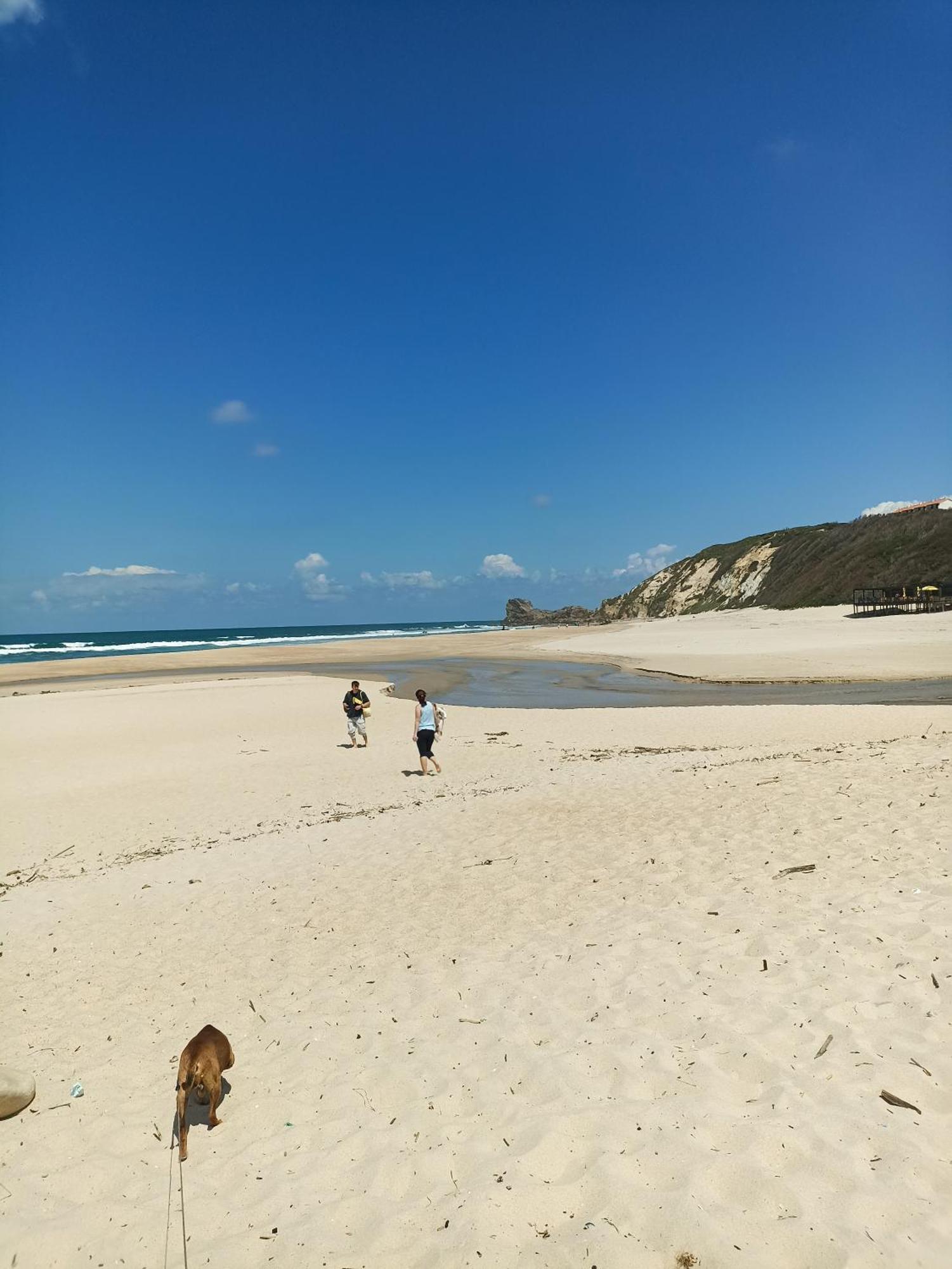 Tinyhouse Tilda - Near Famous Beaches Pataias Luaran gambar