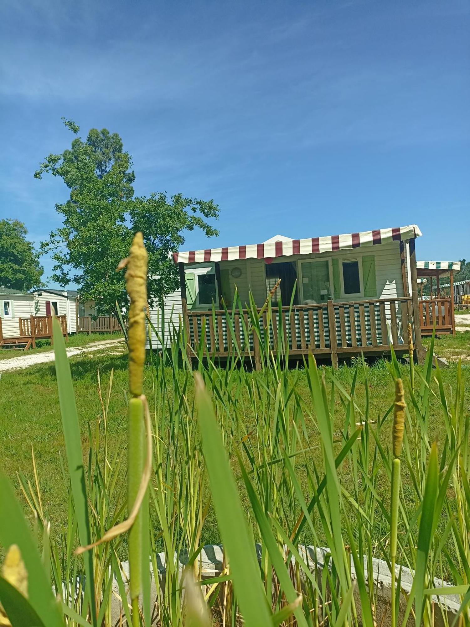 Tinyhouse Tilda - Near Famous Beaches Pataias Luaran gambar